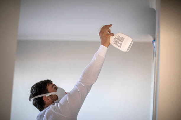Trusted Livermore, CA Mold Removal Experts
