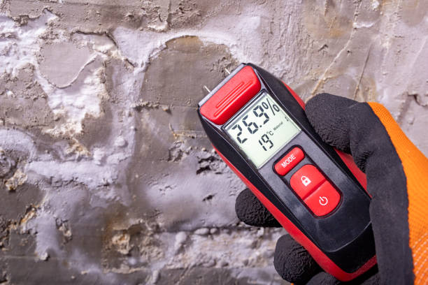 Best Commercial Mold Removal  in Livermore, CA