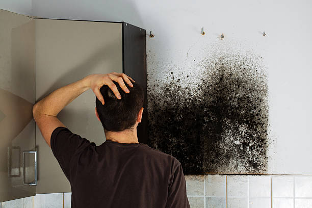 Best Crawl Space Mold Removal  in Livermore, CA